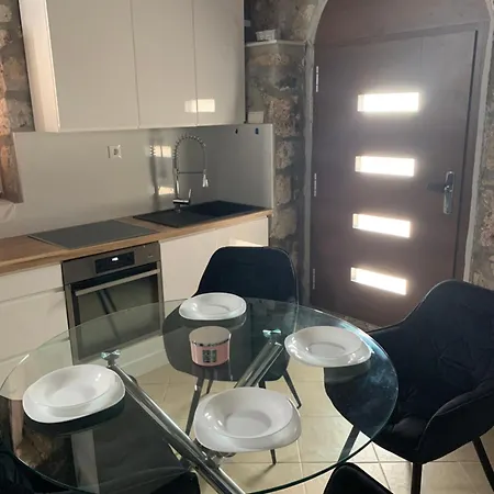 Artist スヴェタ・ネデリャ